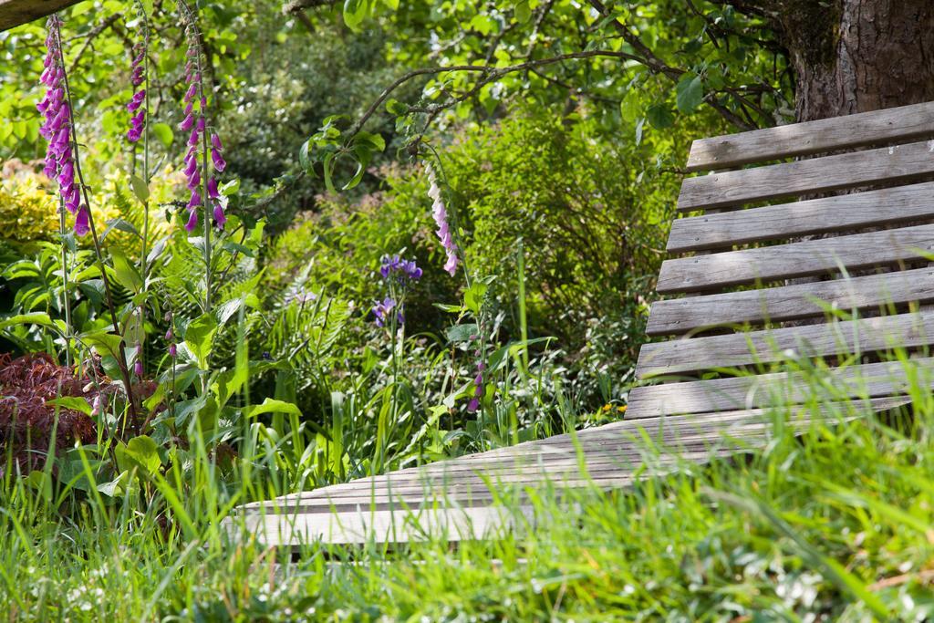 Glebe Farm B&B Kingsbridge  Exterior foto